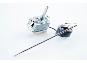 Thermostat 818731179