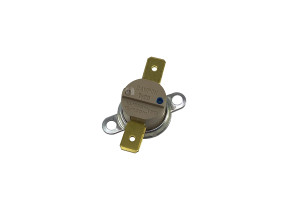 Thermostat 818731309
