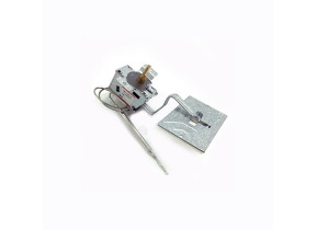 Thermostat 818731369