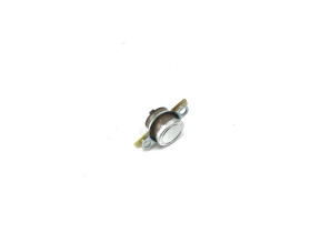 Thermostat 818731663