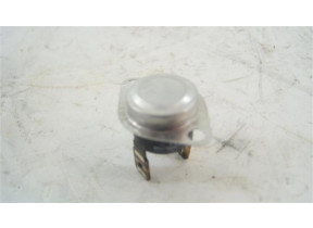 Thermostat C00113822