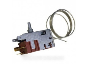 Thermostat C00195893