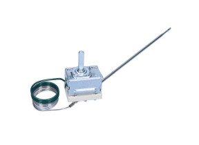 Thermostat C00525931