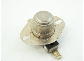 Thermostat rearme manual 90463852