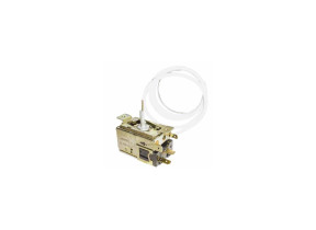 Thermostat s20302 45X1794