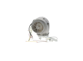 Ventilateur du moteur 00496237