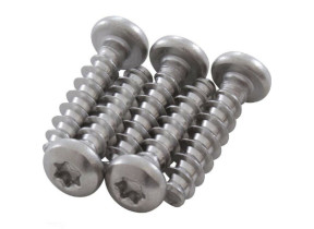 Vis m5 x20 pan torx hd t-18-8 aqv RCX12011