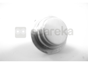 425065- thermostat, sonde 00425065