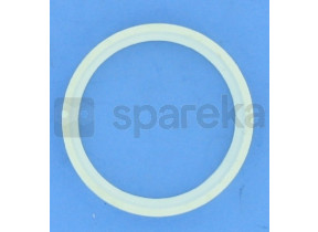 Anneau de support interne pour joint à rotule pompe nage à contre courant - triton jet P-JET-4