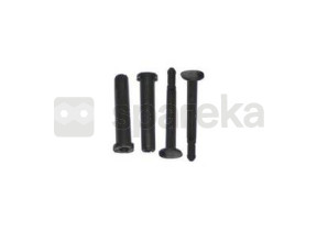 Axes de charnière (x2) 76X3504