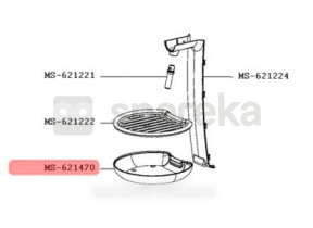 Bac MS-621470