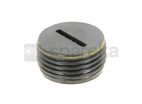 Bouchon de charbon cs290 c100a g12 5131017724