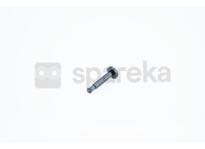 Bouton 458920105