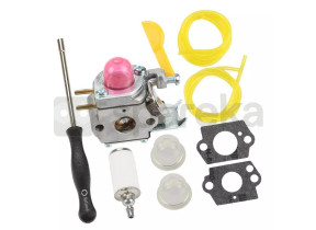 Carburateur 530071822