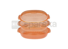 Casserole steamer oval 2,5 l 484000008885