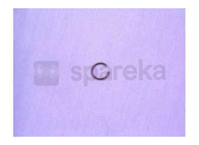 Circlip KW182767
