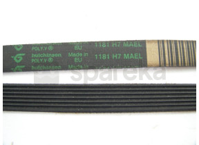 Courroie l=1181 mm h8 C00066521