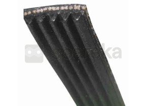 Courroir générique (381 j 4 gc5000 05) 5320410129