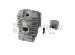 Cylindre+piston diam.49mm 4201-020-1200
