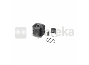 Cylindrée complète 11005-2122