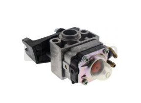 Ens. carburateur (wyb 6f/g) 16100-Z0H-053