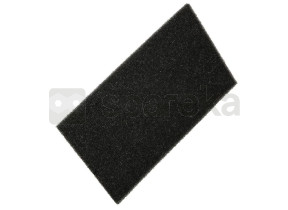 Filtre-mousse 2952560100