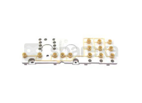 Grappe de bouton 79X5581