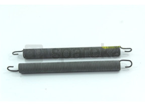 Hinge spring 1743980100