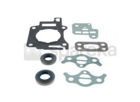 Jeu de joints moteur 4149-007-1600
