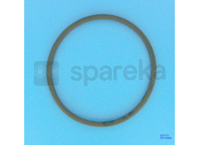Joint couvercle filtre a sable jupiter et titan 6\'\' 724r1555086 CE04190006