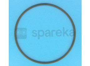 Joint de couvercle filtre à sable jupiter - 8\'\' CE04010006