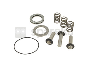 Kit pistons + joints 3081270