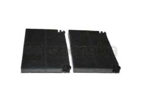Lot de 2 filtres à charbon type eff55