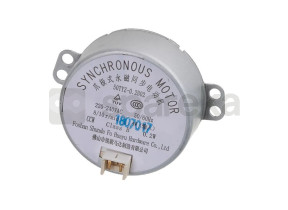 Moteur 10006106