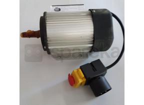 Moteur électrique 14121307