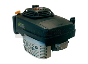 Moteur tondeuse (sans frein moteur) FJ180V00834