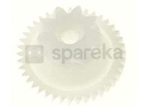 Pignon blanc FS9100013356