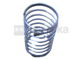 Ressort de bouton 242100042