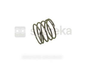 Ressort de bouton 242100050