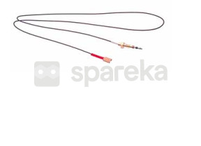 Thermocouple brûleur C00074279