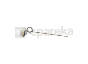 Thermostat 00098031