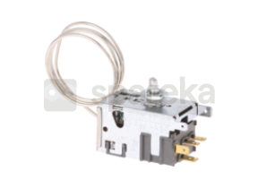 Thermostat 00167300