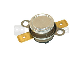Thermostat (100°c) 818731555