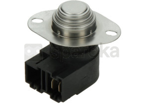 Thermostat 481228208676