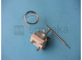Thermostat 481228228227