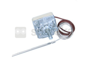 Thermostat 481228238149