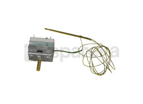 Thermostat 481928228602