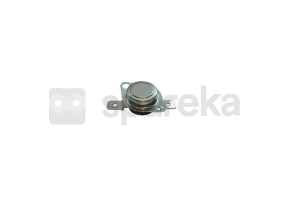Thermostat 481990200761