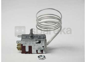 Thermostat 481991100046