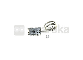 Thermostat 482000024073